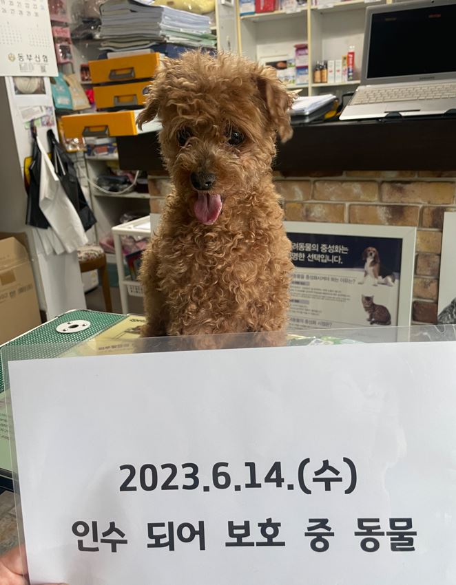 하남동물병원_441404202300325